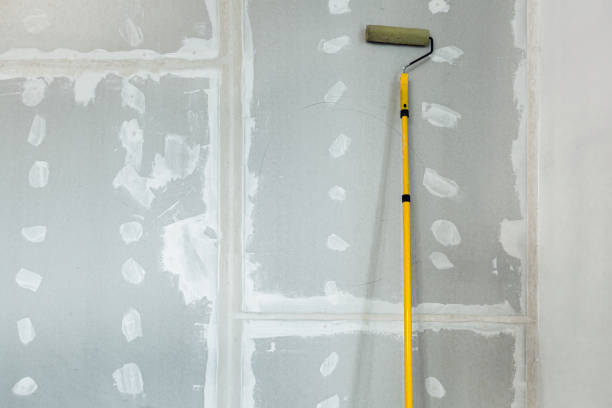  Park Falls, WI Drywall & Painting Services Pros